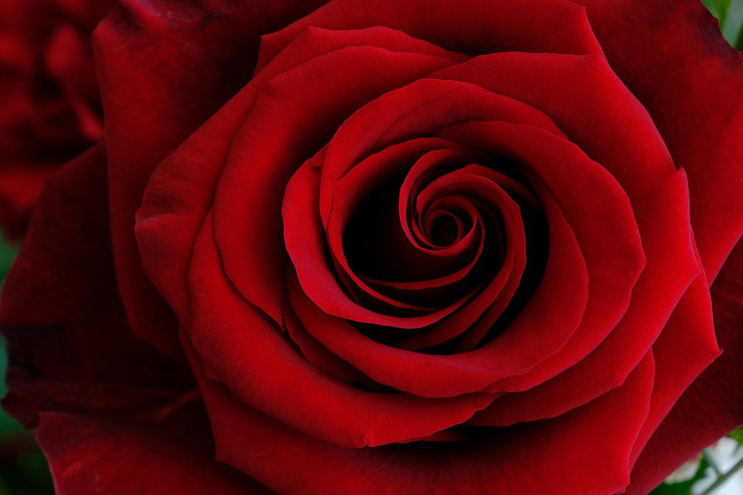 Grande boîte - Rouge passion